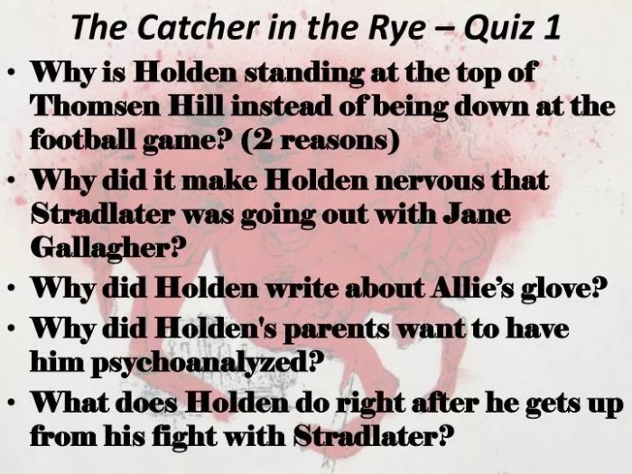 Catcher in the rye test