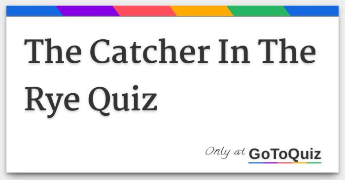 Rye catcher test novel pdf