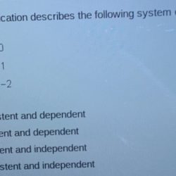 Which classification describes the following system of equations