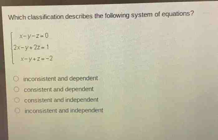 Which classification describes the following system of equations