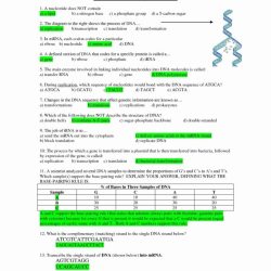 Dna structure and replication worksheet answers key